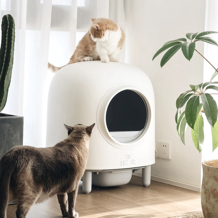 Petree 2.0 | Fully Automated & App-Enabled Cat Litter Box | My Rainbow Pets