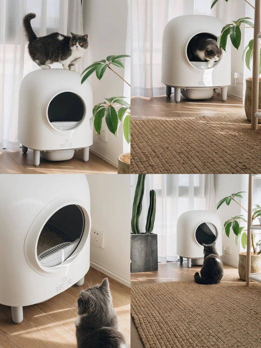Petree 2.0 | Fully Automated & App-Enabled Cat Litter Box | My Rainbow Pets