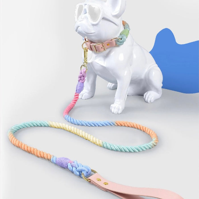 Macaron Weave Dog Leashes｜Collar Leash Set  ｜Dog life Cat life