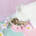 Macaron Ceramic｜Dog Bowls & Cat Bowls｜My Rainbow Pets my rainbow pet