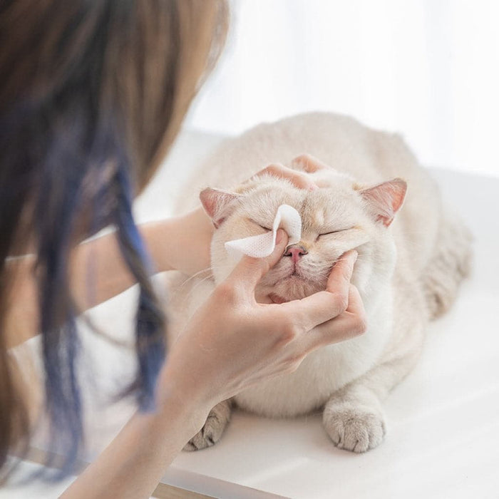 KOJIMA Eye wipes clean pet tears for cats and dogs my rainbow pet