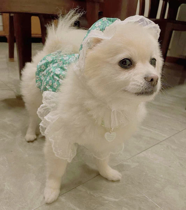 Summer floral lace dress Fairy style pet clothes Dog Clothes my rainbow pet
