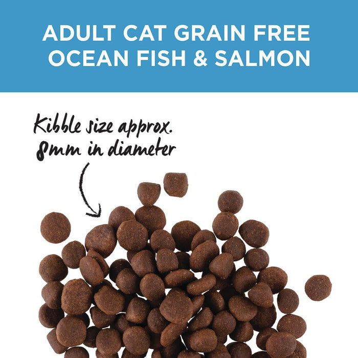IVORY COAT Grain Free Dry Cat Food Oceanfish & Salmon with Coconut Oil my rainbow pet
