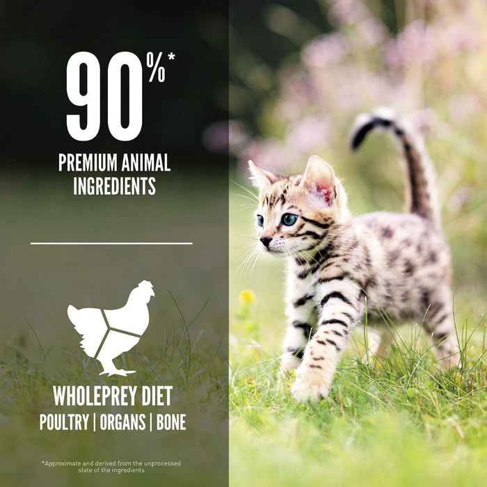 ORIJEN Kitten Grain-Free Dry Cat Food