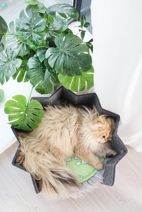 Snuggle Star Pet Bed | Starry Cozy Nest | Cat Bed Dog Bed