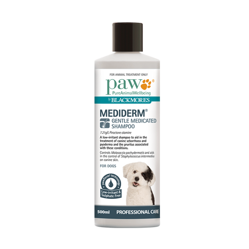 Blackmores PAW MediDerm Gentle Medicated Shampoo 500ml my rainbow pet