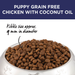 IVORY COAT Grain Free Dry Dog Food Puppy Chicken my rainbow pet