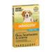 ADVOCATE FOR DOGS 4 TO 10 KG- Flea & Worm Control - 3 x 1.0ml my rainbow pet