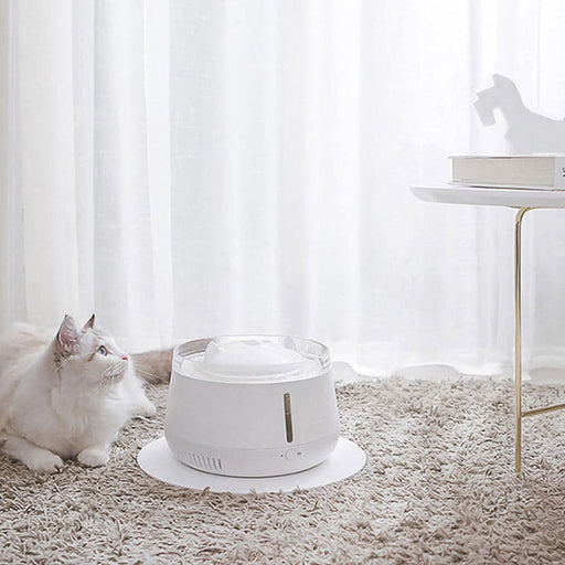 White cat style pet smart water dispenser my rainbow pet