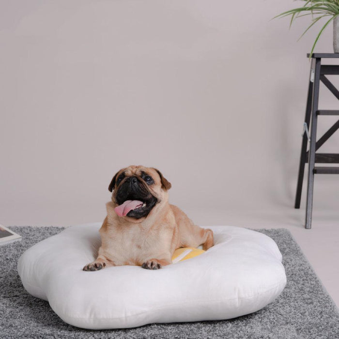 Purlab Pet Bed｜Soft Egg Bed｜Cat Bed Dog Bed