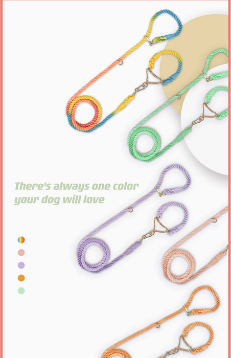 Rainbow Weave Dog Leashes｜Collar Leash Set  ｜Dog life Cat life