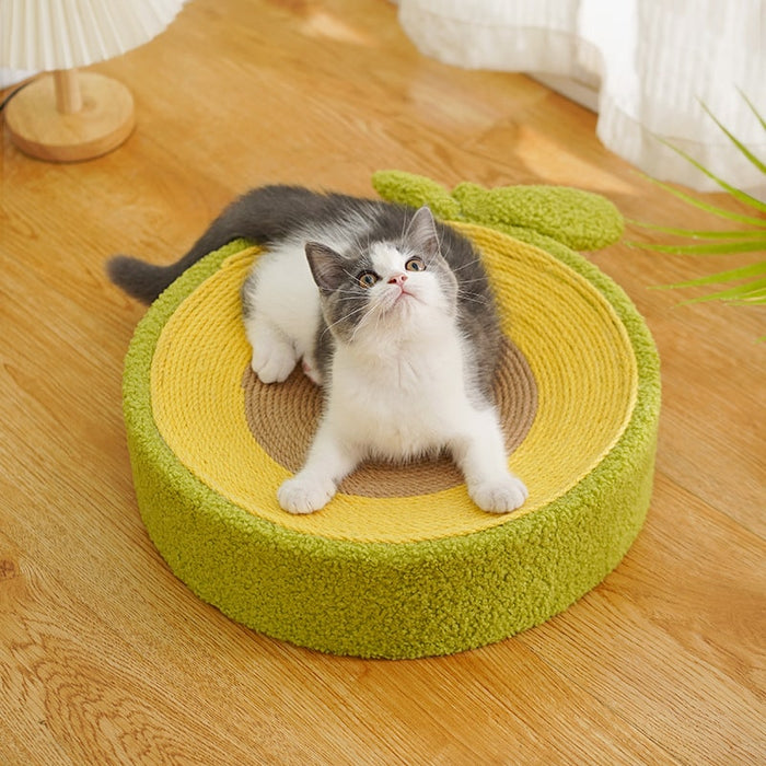Cat Scratchers | Cute Avocado Style | My Rainbow Pets