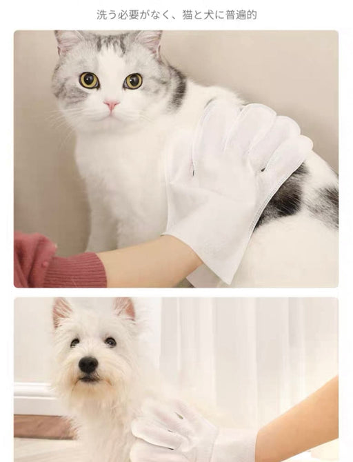 KOJIMA dry cleaning washed gloves for pets my rainbow pet