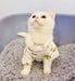 Lovely bear breathable spring and summer pet clothes Dog Clothes my rainbow pet