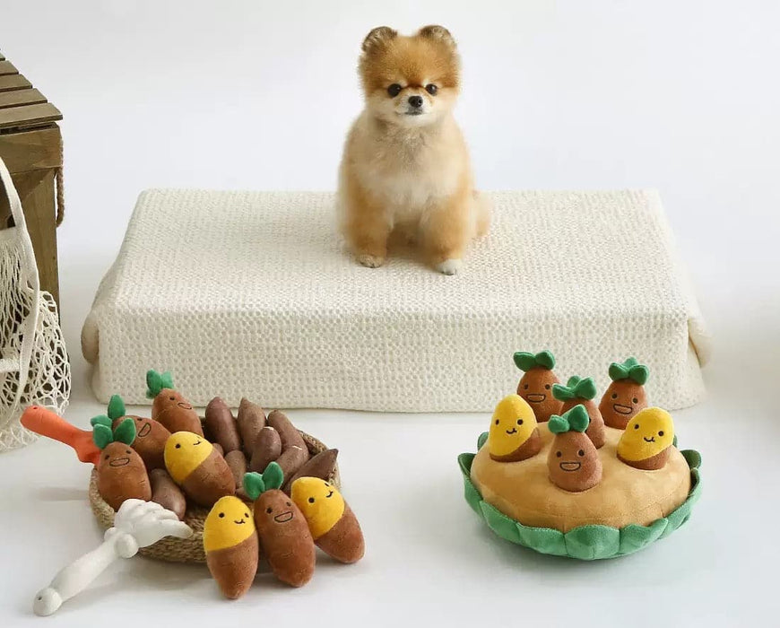 Korean sweet potato vocal dog toys set my rainbow pet