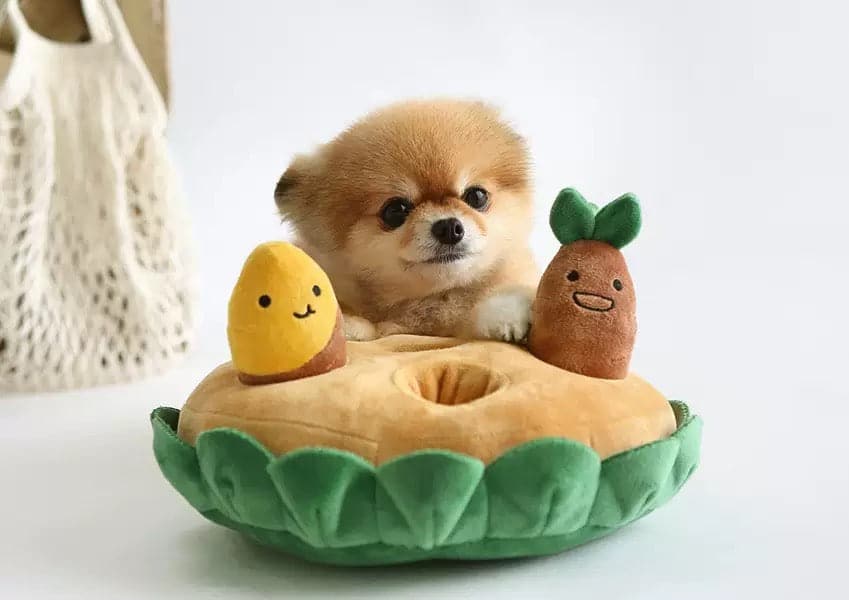 Korean sweet potato vocal dog toys set my rainbow pet