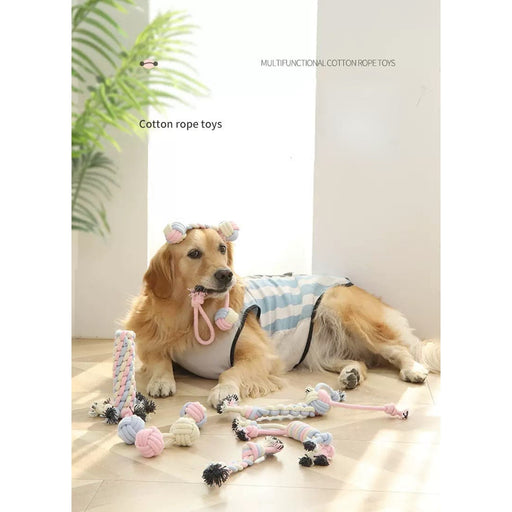 Macaron-colored large dog toys set prevents dental calculus my rainbow pet