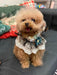 Lace style cute pet collar dog clothes cat clothes accessories my rainbow pet