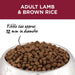 IVORY COAT Dry Dog Food Adult All Breed Lamb & Brown Rice 15kg my rainbow pet